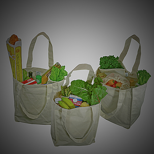 Organic Cotton Reusable Grocery Bags - a little less toxic amazon